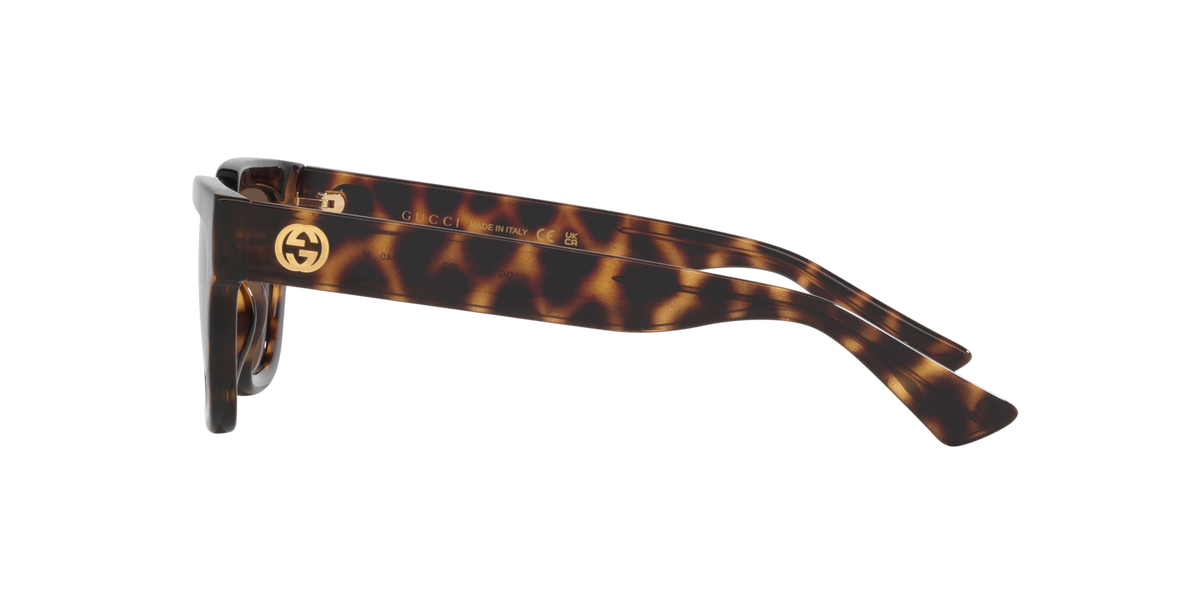 Gucci GG1578S Sunglasses