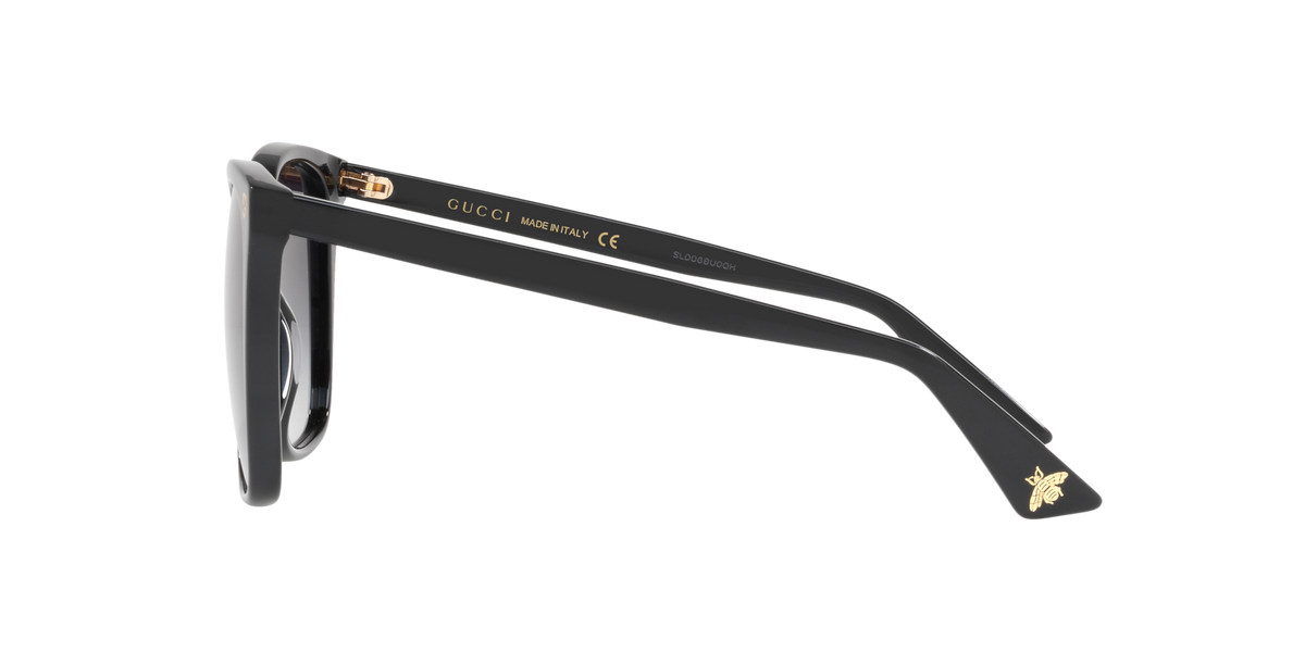 Gucci GG0022S Sunglasses