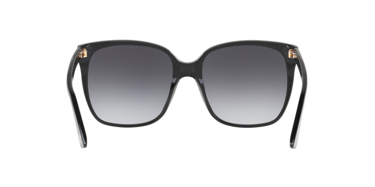 Gucci GG0022S Sunglasses