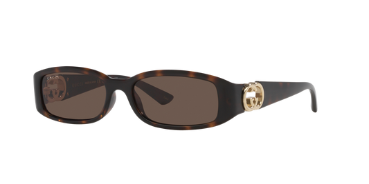Gucci GG1661S Sunglasses