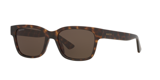 Gucci GG1716S Sunglasses
