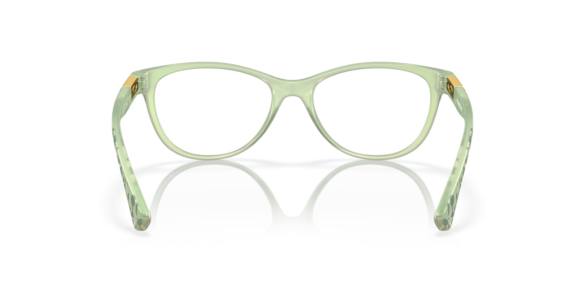 Oakley OX8146 Plungeline™
